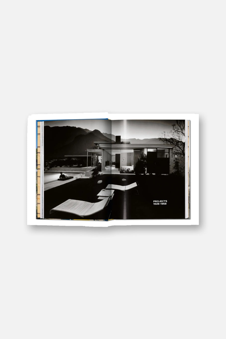 Neutra Book 45th Edition – flat lay
