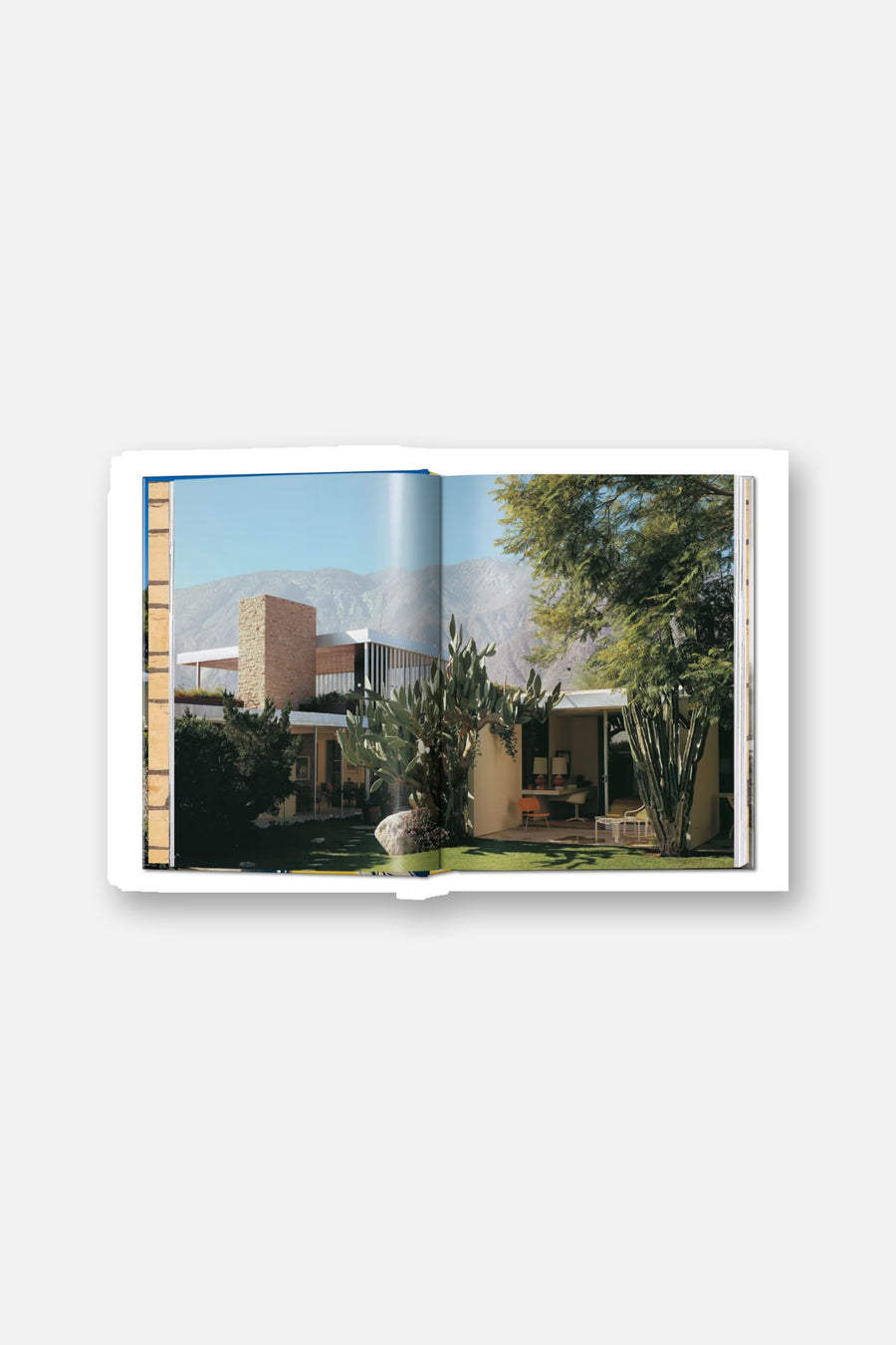 Neutra Book 45th Edition – side view