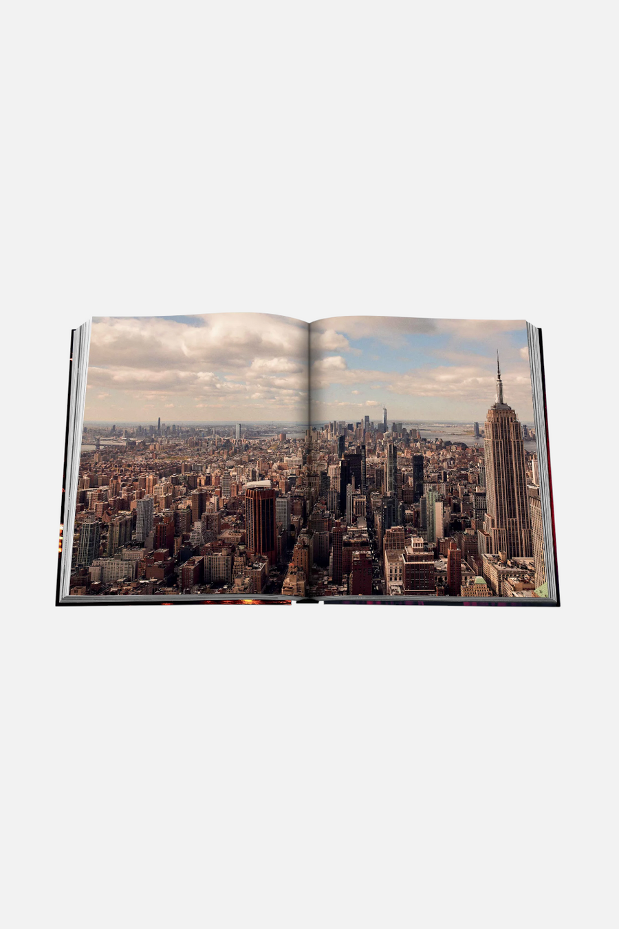 New York Chic – back view