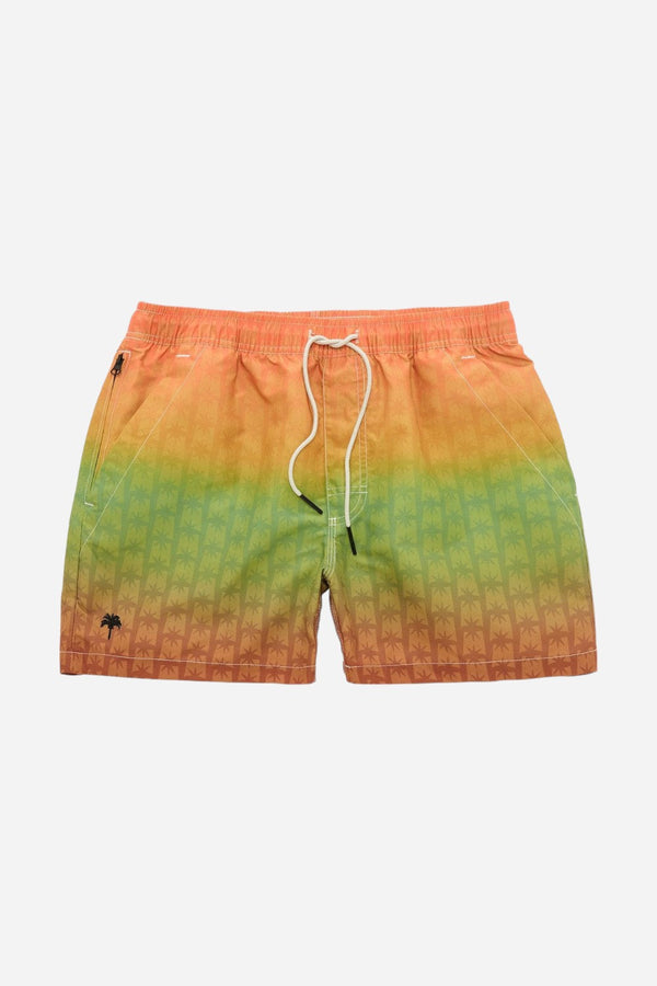 OAS Reggae Air Swim Trunks