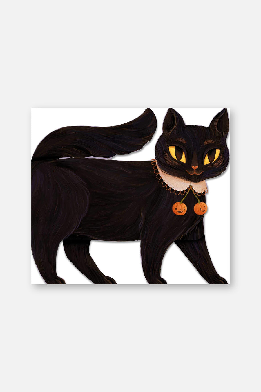 One Black Cat – front view
