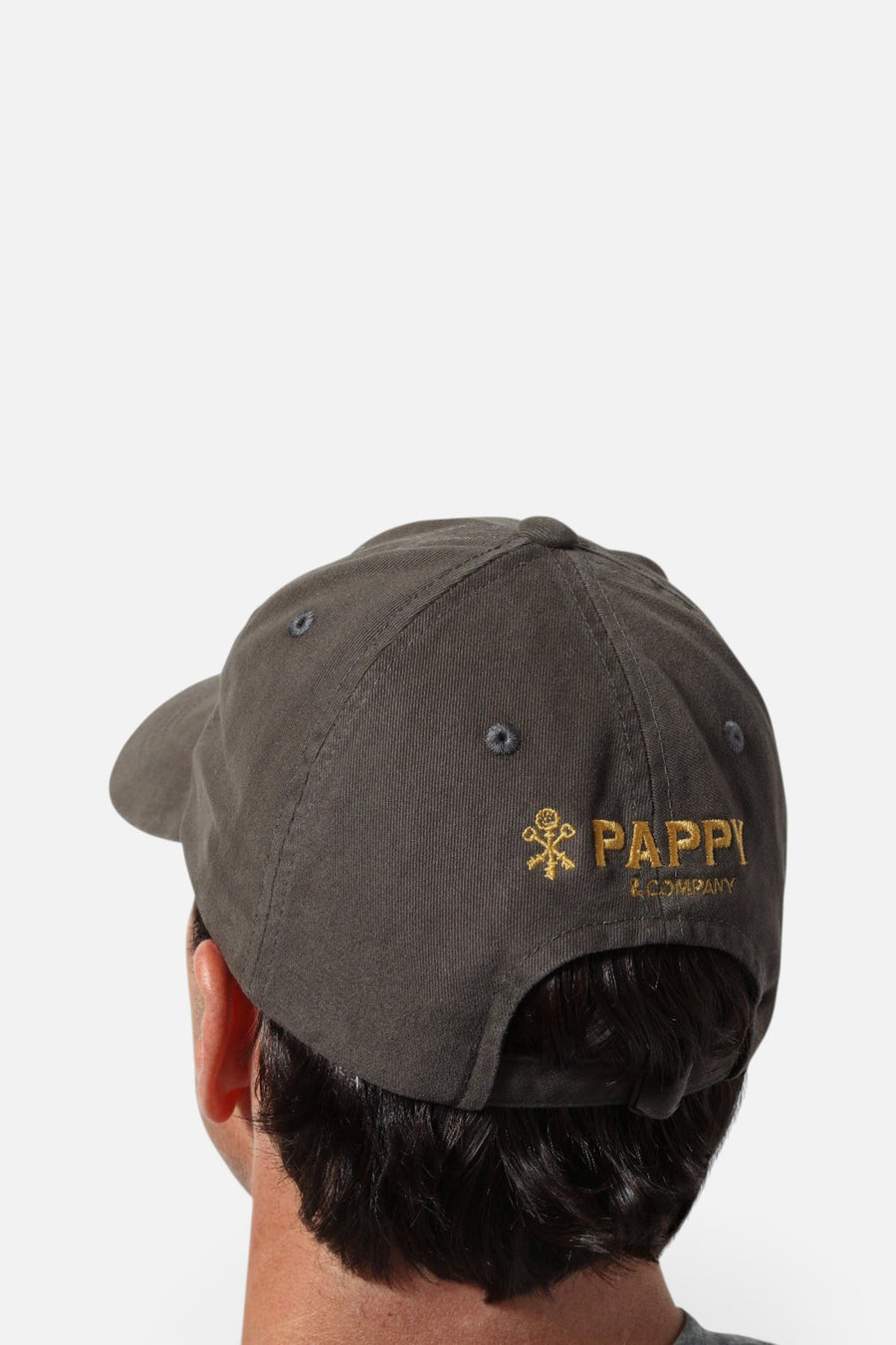 Pappy & Company Vintage Label Ball Cap in Charcoal – back view