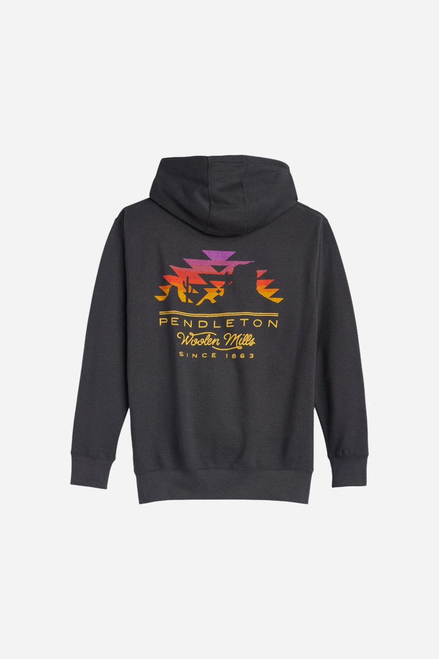 Pendleton Desert Sun Graphic Hoodie – front view