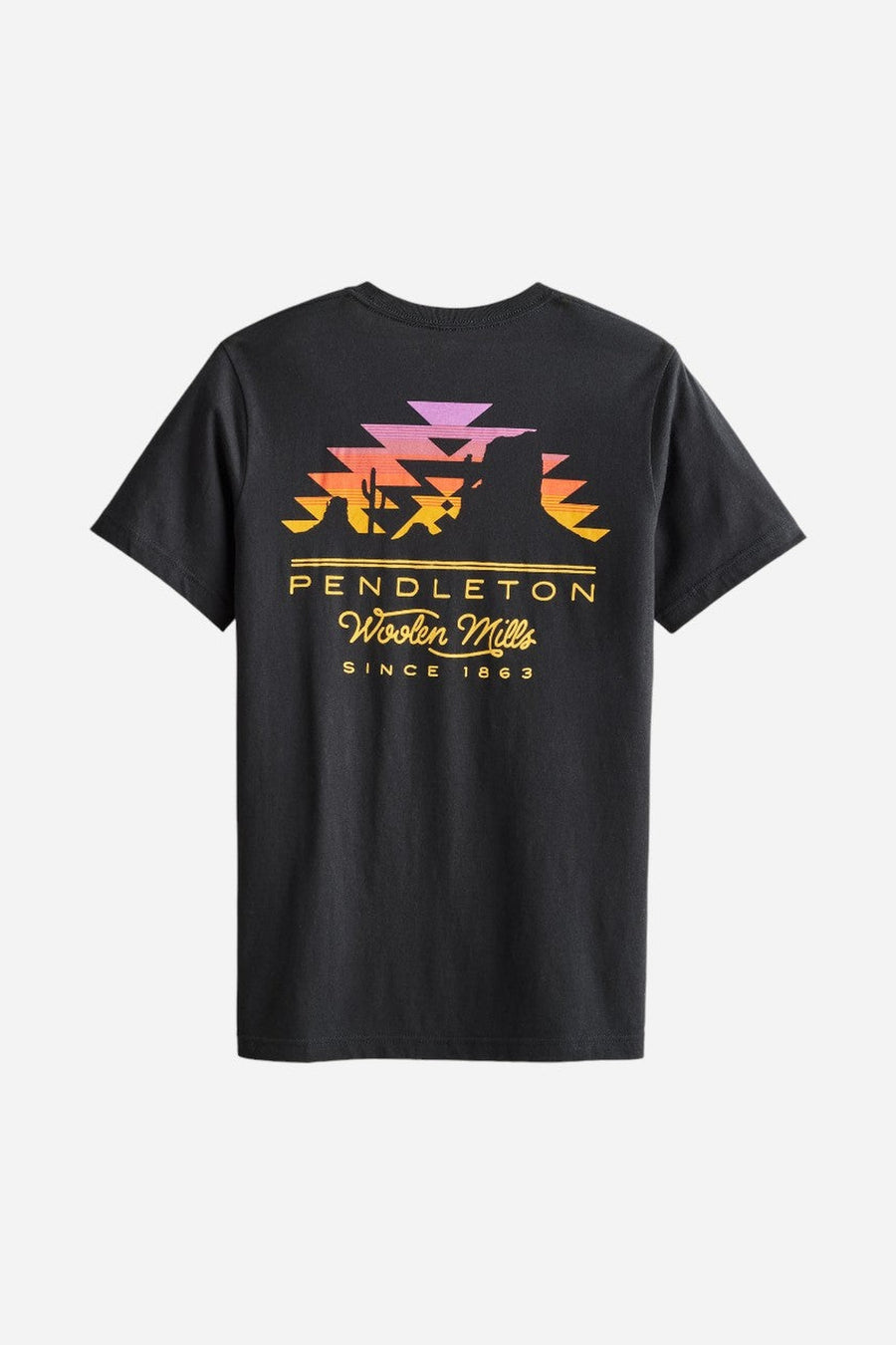 Pendleton Desert Sunset Graphic Tee – back view