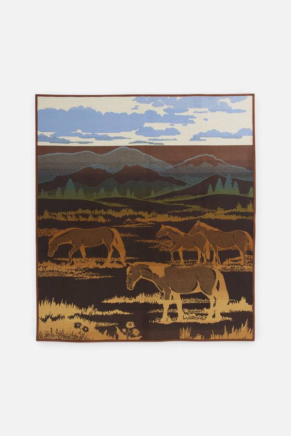 Pendleton Shadow Mountain Blanket