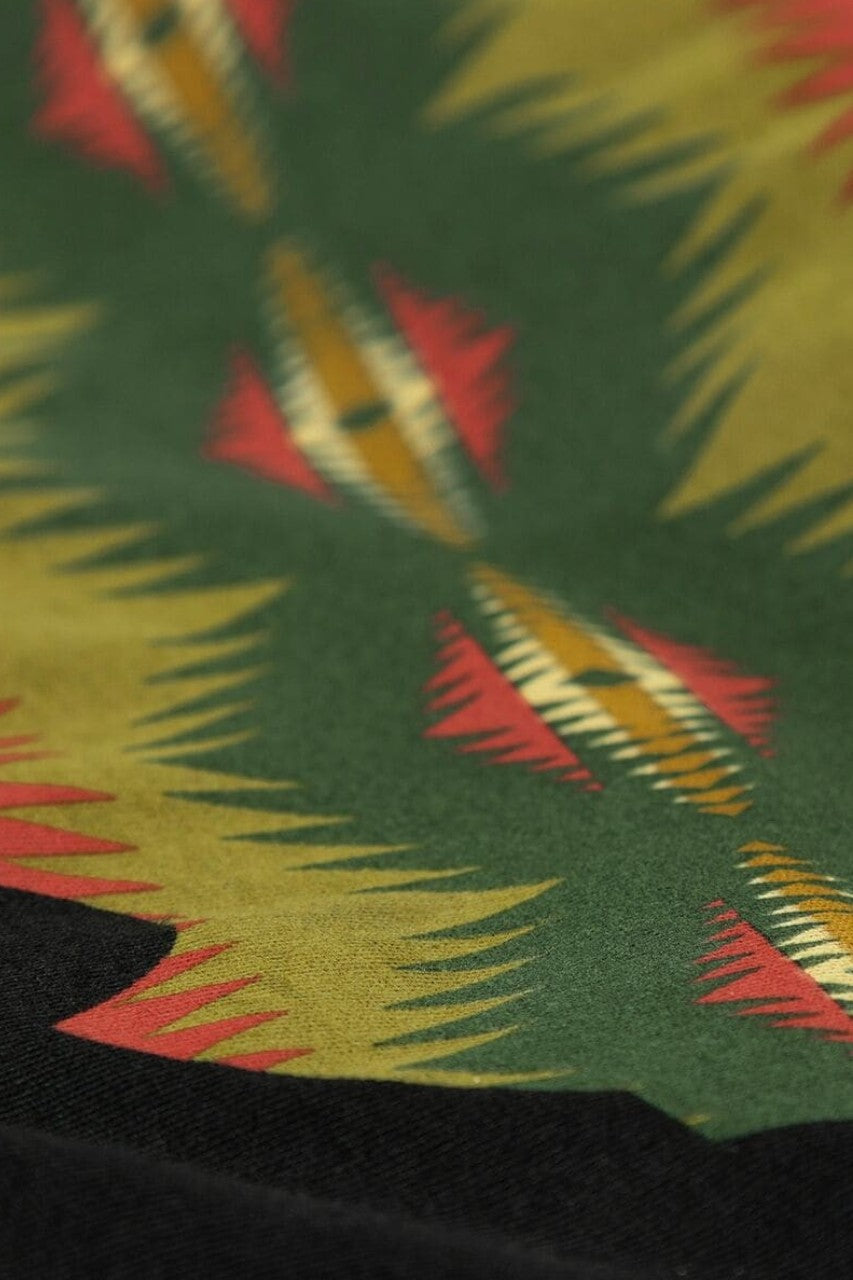 Pendleton Tye River Buffalo Graphic Tee – side view