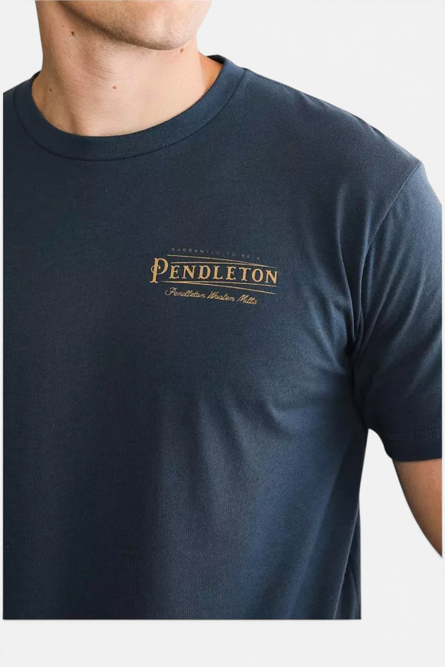 Pendleton Vintage Logo Graphic Tee in Indigo Blue – side view
