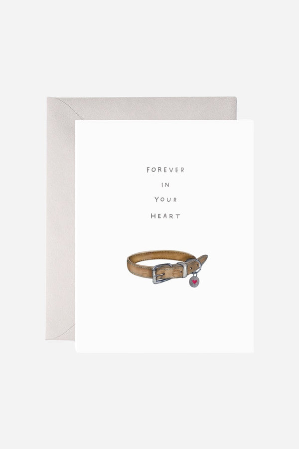 Pet Collar | Dog Sympathy Condolence Greeting Card