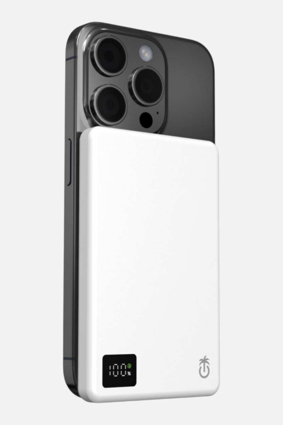 Phunkee Tree Ultra Slim Magnetic Power Bank – back view