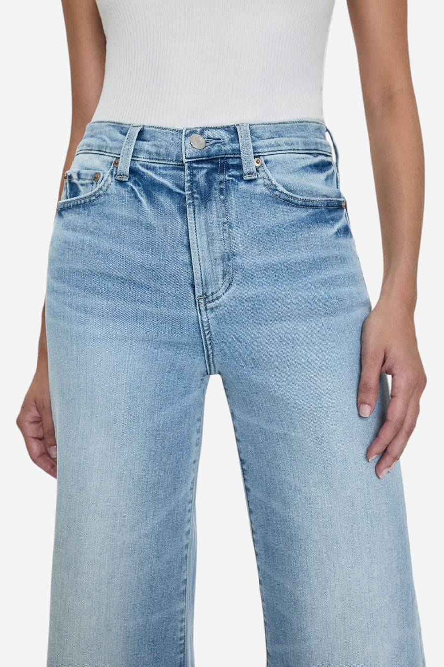 Pistola Izzy Mid Rise Wide Leg Crop in Strive – back view