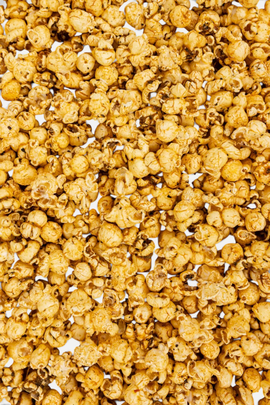 Poppy Popcorn Backyard Cookout – back view