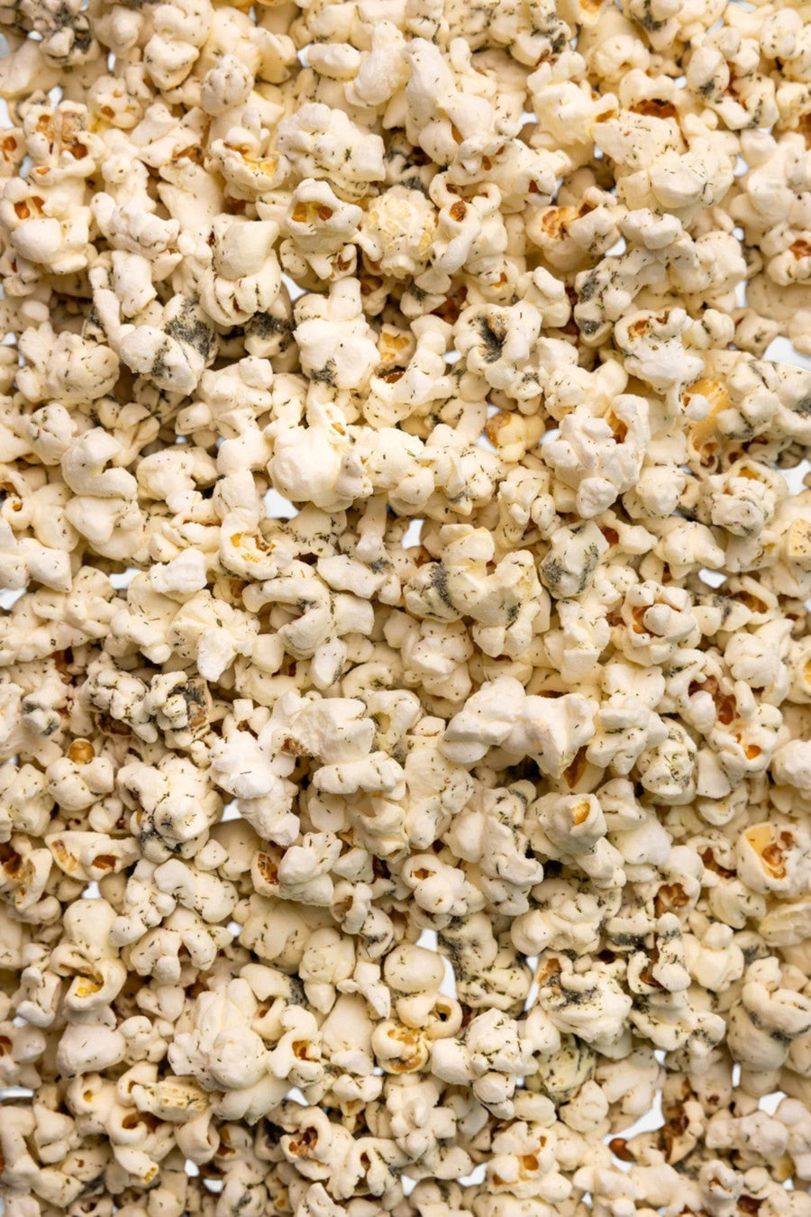 Poppy Popcorn Dill Pickle – back view