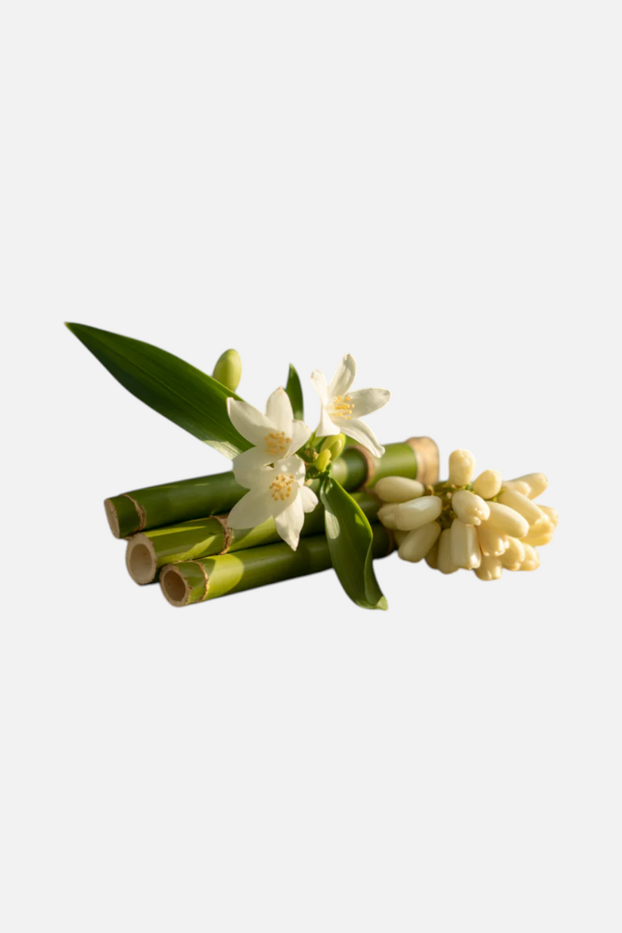 Pura Nest Bamboo Car Fragrance Diffuser Refill – back view