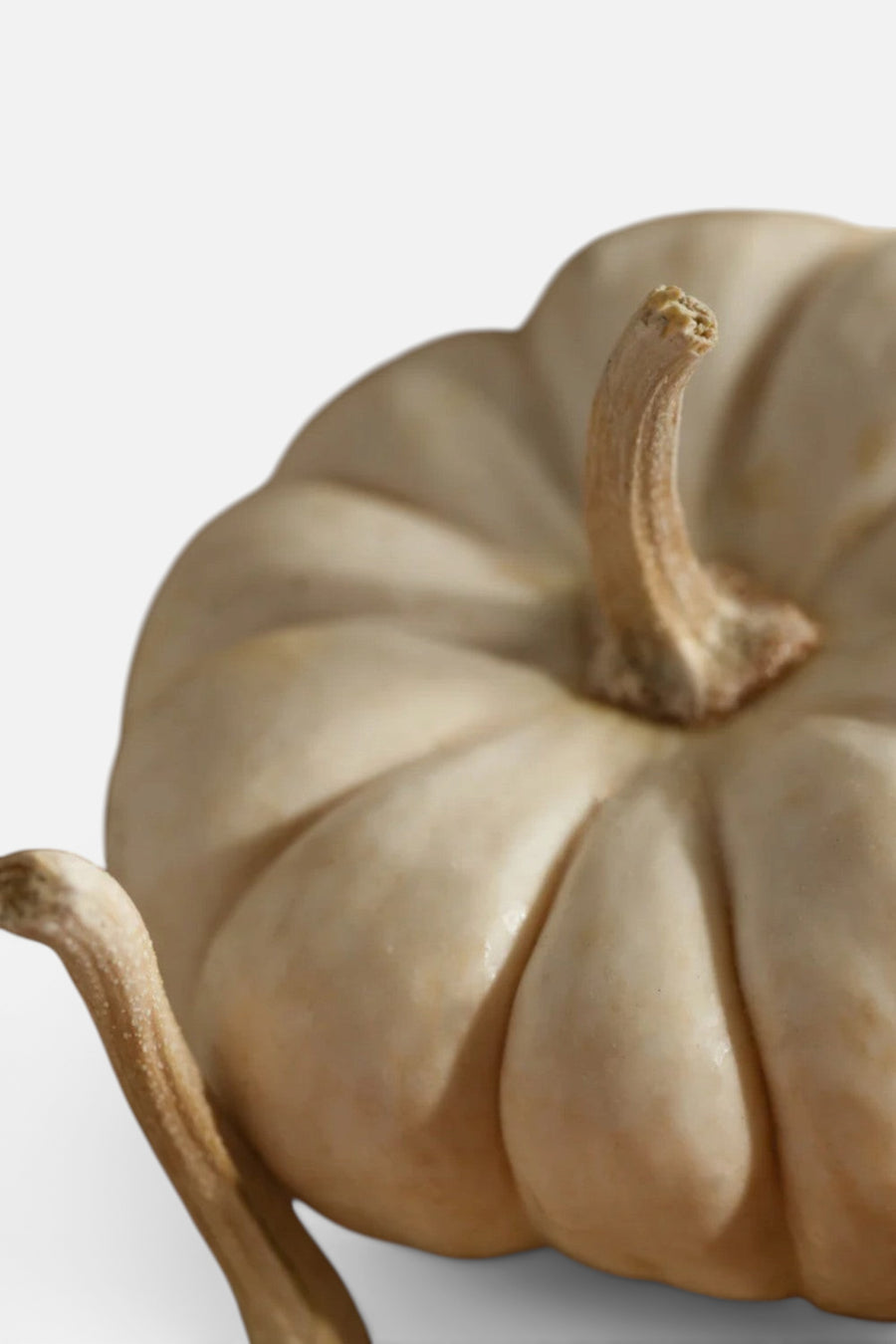 Pura White Pumpkin Smart Vial Refill – detail