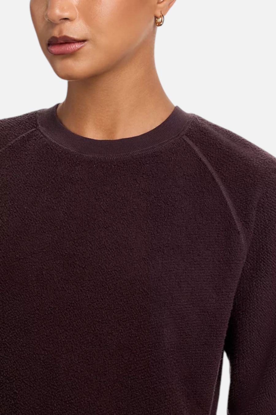 Perfect White Tee Women's Ziggy Sweatshirt in Cocoa Powder