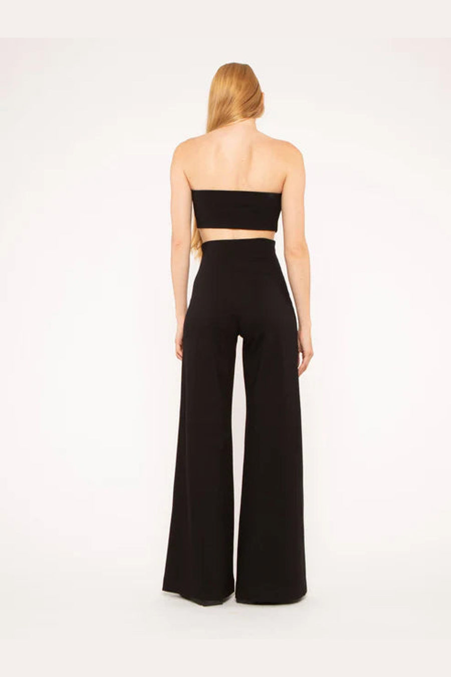 Ripley Rader Ponte Knit Bandeau Top in Black – back view