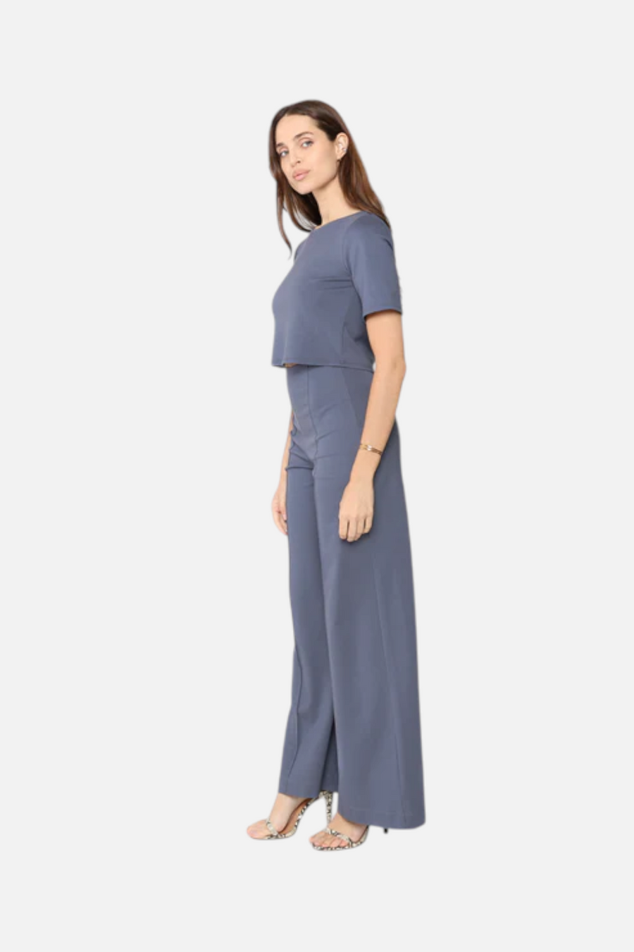Ripley Rader Ponte Knit Short Sleeve Top in Sea Blue – back view