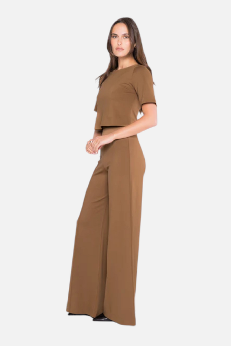 Ripley Rader Women's Ponte Wide Leg Pant in Camel – back view