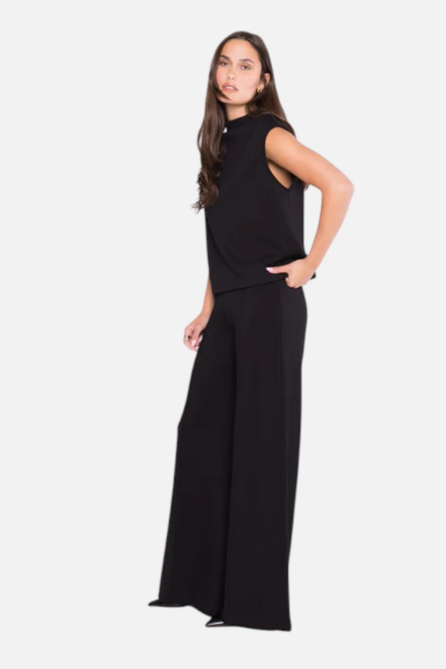 Ripley Rader Women's Scuba Wide Leg Pant in Black – back view