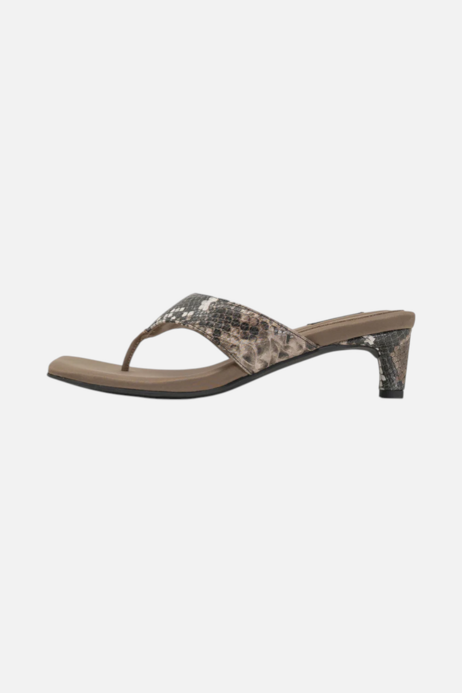 Roam Women's The Kitty Heel in Natural Snake – front view