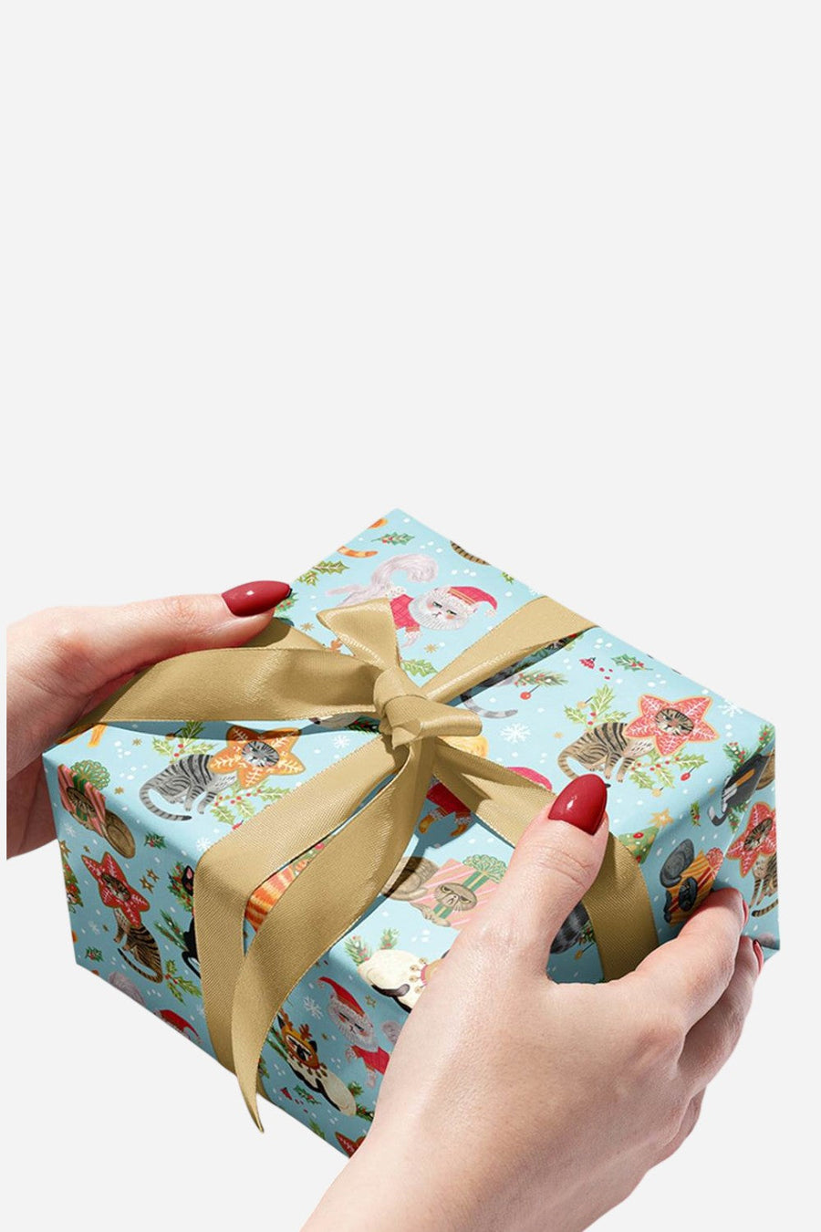 Rolls Naughty Cats Gift Wrapping Paper – back view