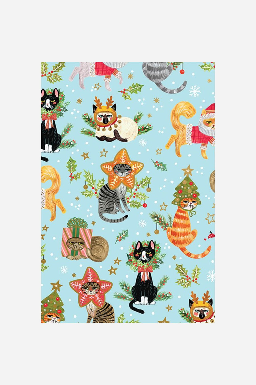 Rolls Naughty Cats Gift Wrapping Paper – front view