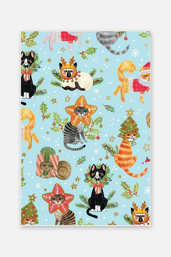 Rolls Naughty Cats Gift Wrapping Paper
