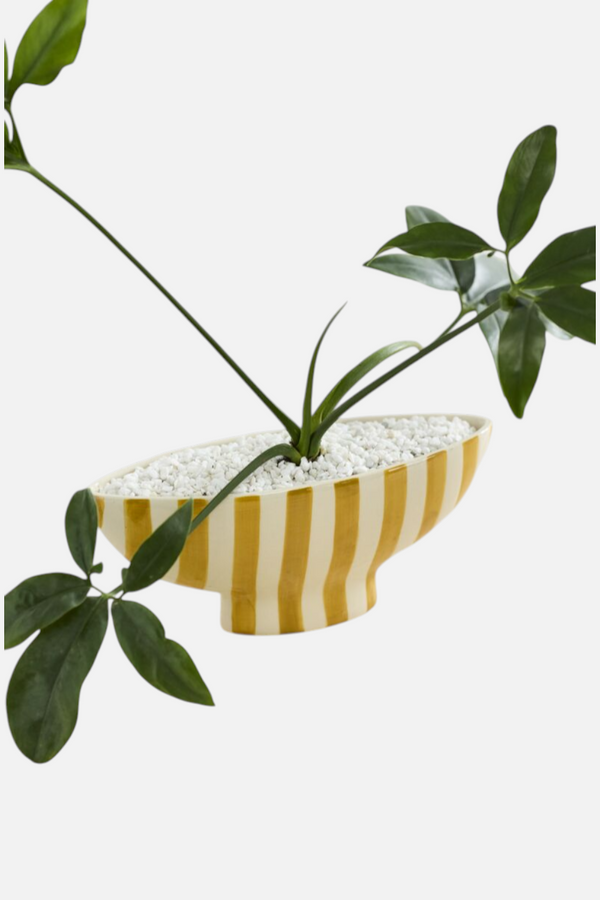 Saffron Boat 12x4x5