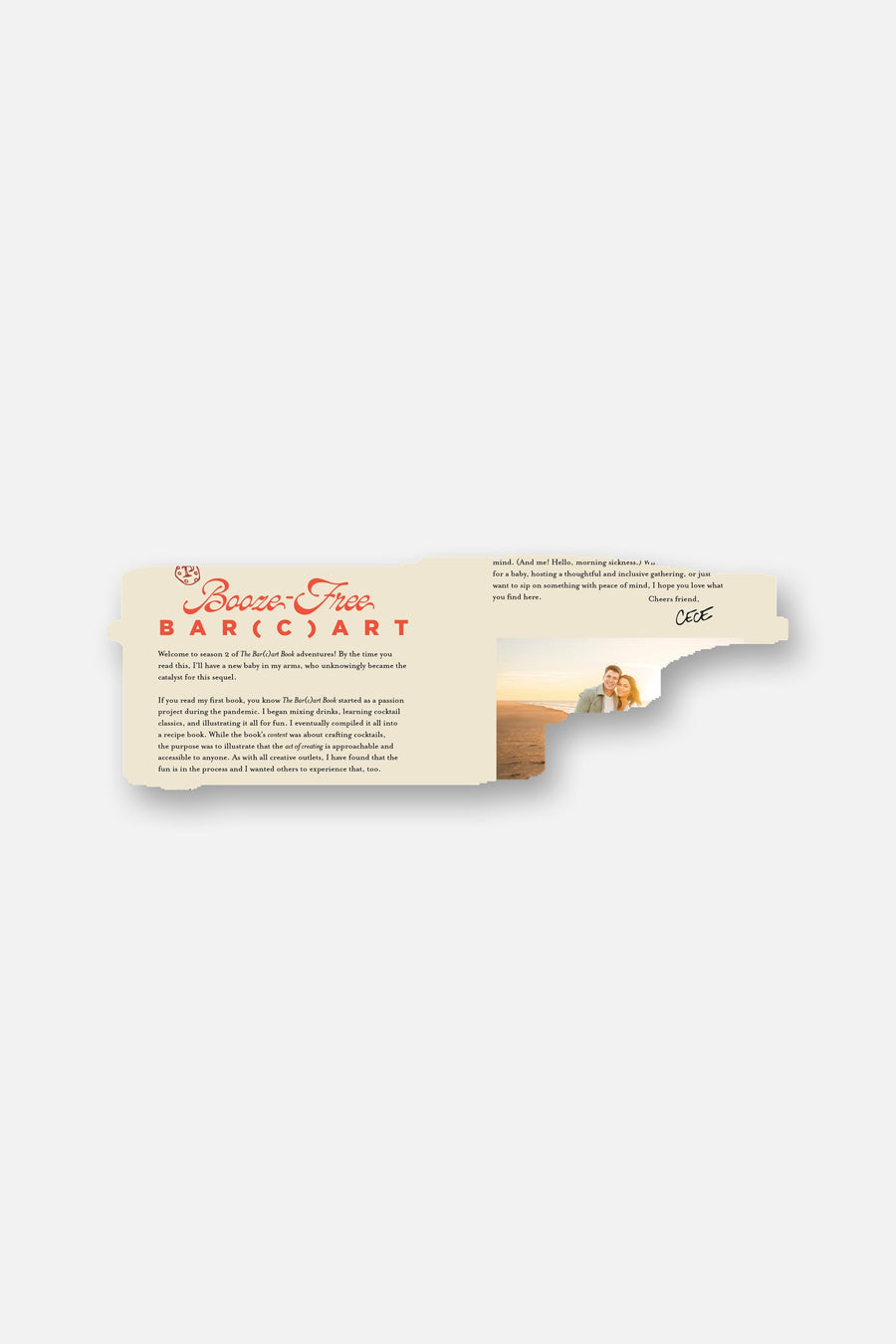 Schiffer Publishing The Booze-Free Bar(c)art Book – side view