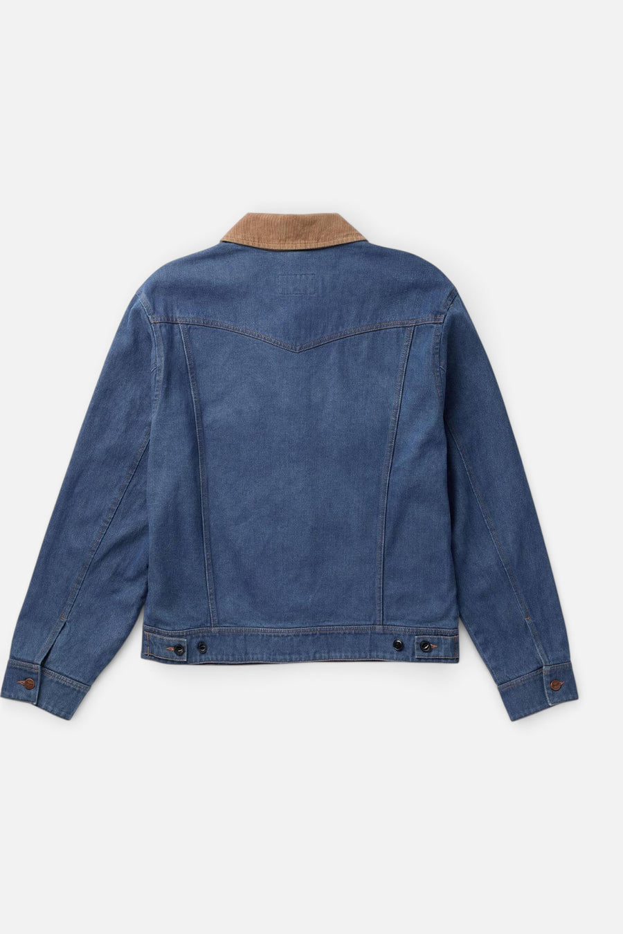 Seager Freewheelin' Denim Jacket in Rinsed Indigo – back view