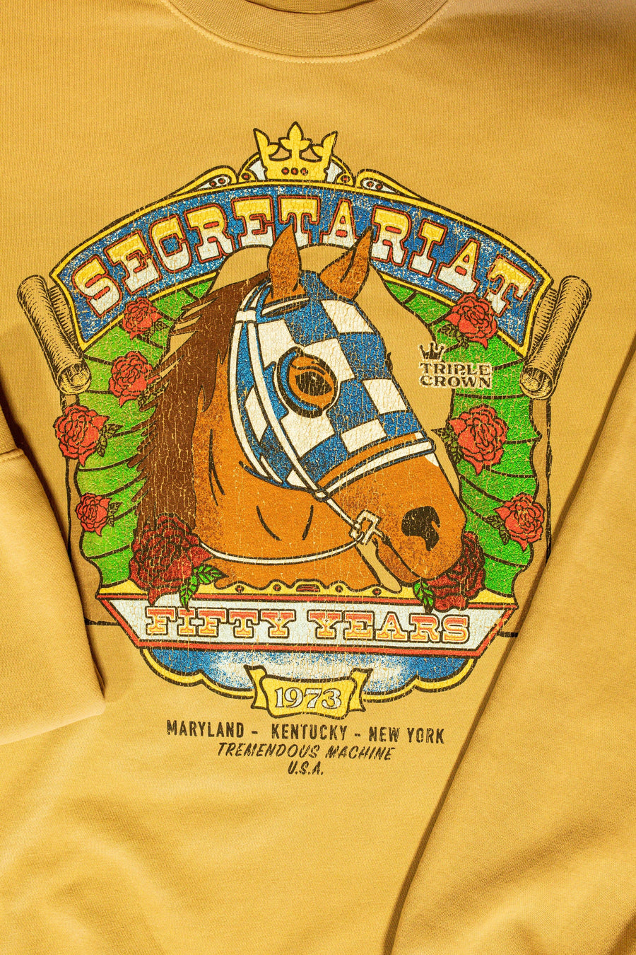 Secretariat Grateful Red Crewneck in Sandtrack – back view