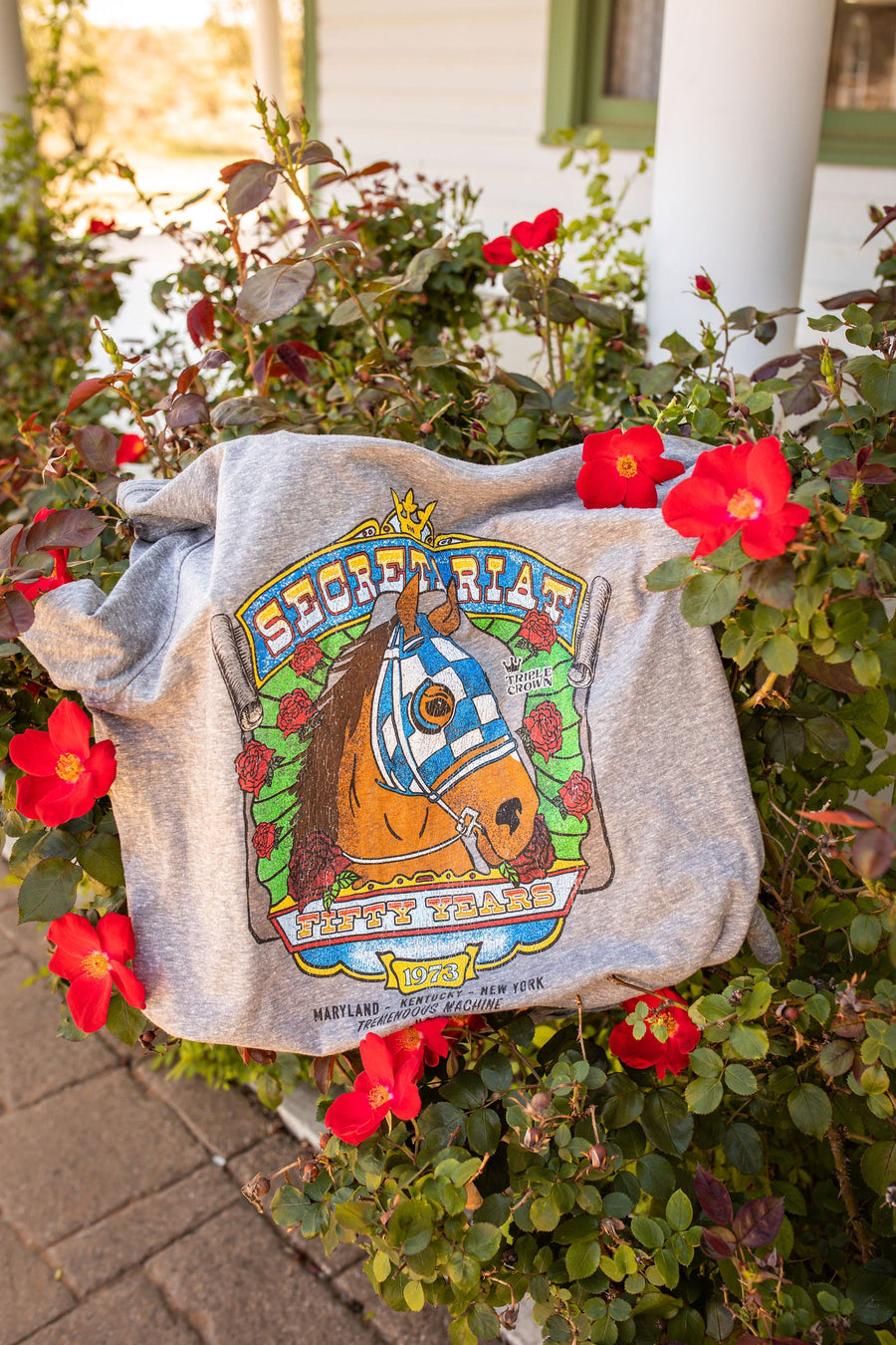 Secretariat Grateful Red Short Sleeve Tee in Heather Grey – side view