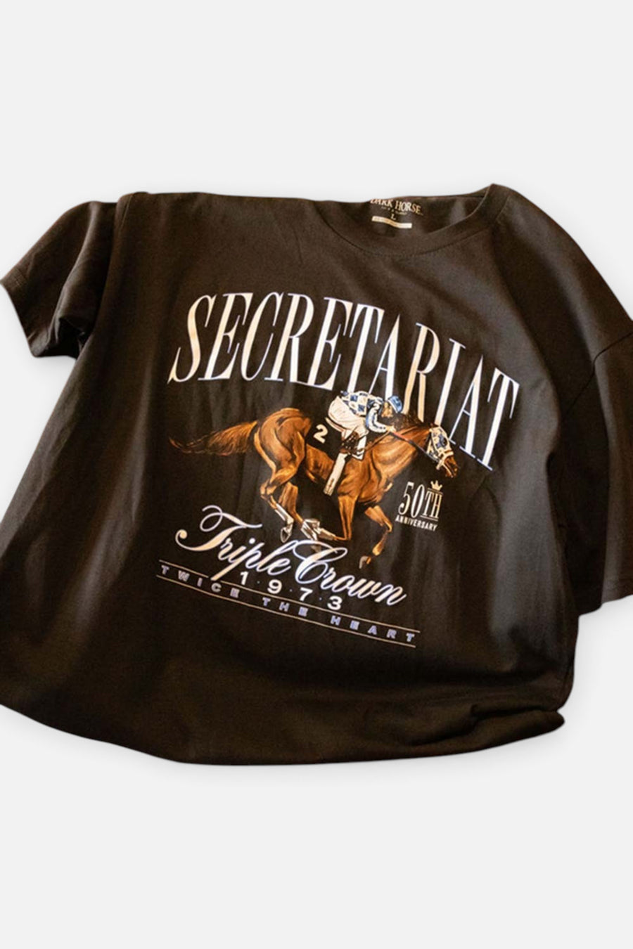 Secretariat Perfect Script Short Sleeve Tee in Dark Coal – back view