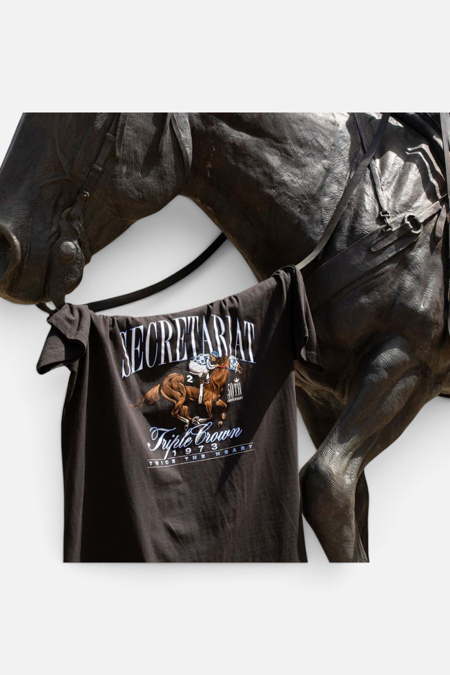 Secretariat Perfect Script Short Sleeve Tee in Dark Coal – detail
