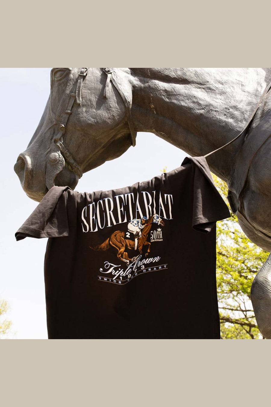Secretariat Perfect Script Short Sleeve Tee in Dark Coal – side view