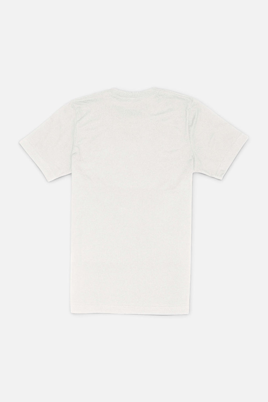 Sendero Provisions All Hat No Cattle Tee in Vintage White – back view