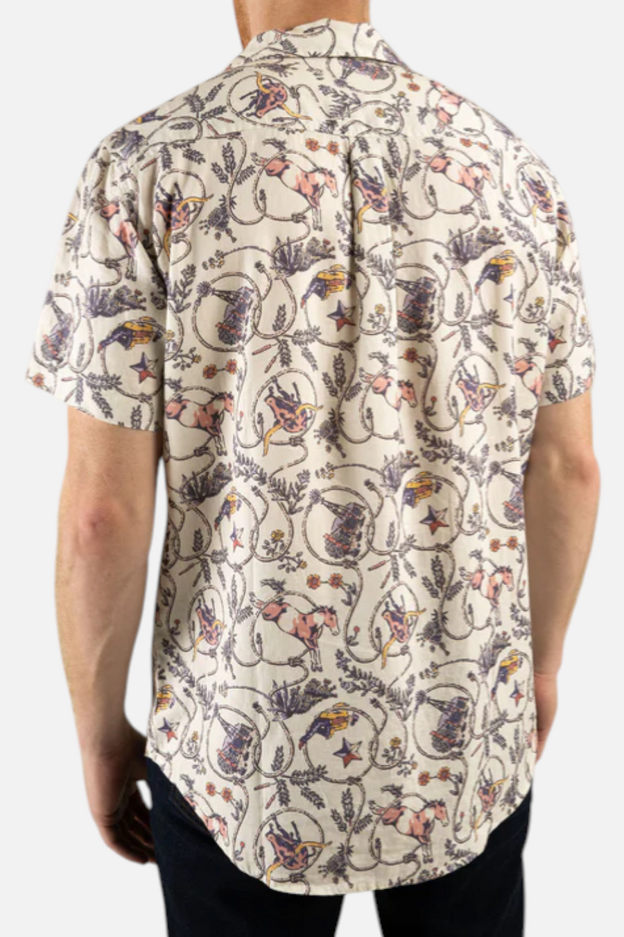 Sendero Provisions City Slicker Button Up Short Sleeve in High Lonesome – back view