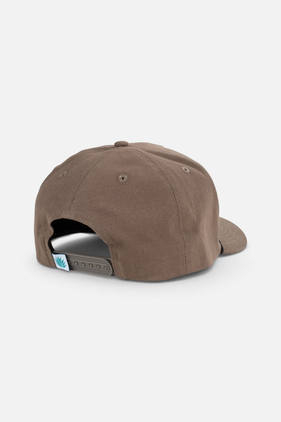 Sendero Provisions Horny Toad Hat in Brown – back view
