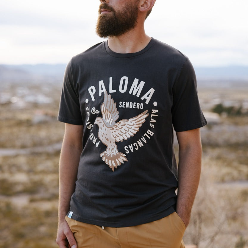 Sendero Provisions Paloma T-Shirt in Asphalt – back view