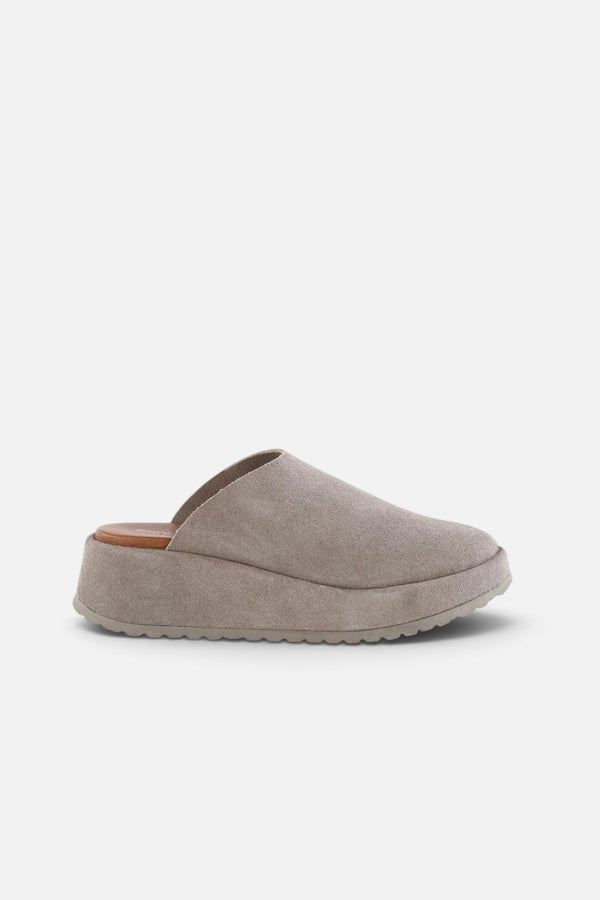 Seychelles Come Away With Me Mule in Sand