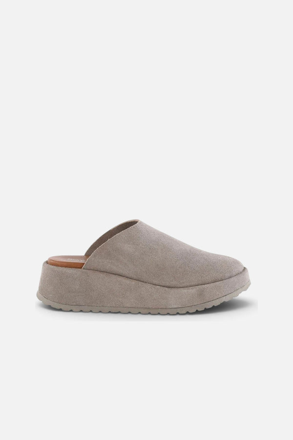 Seychelles Come Away With Me Mule in Sand