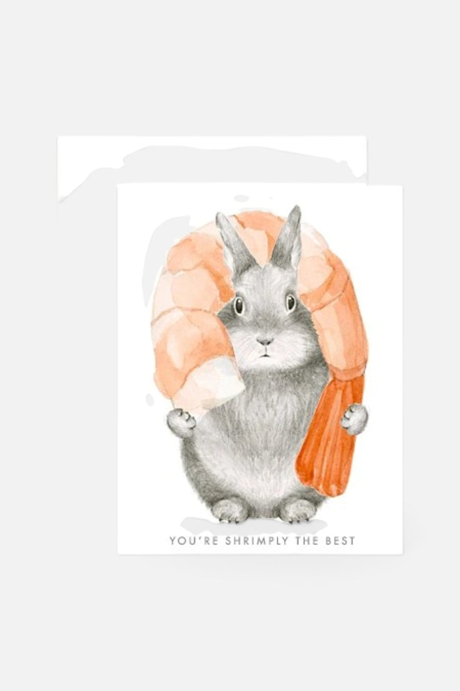 Shrimply The Best Box Of 6 Cards – front view