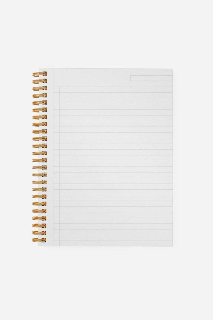 Smitten on Paper Scallop Notebook in Moss – back view