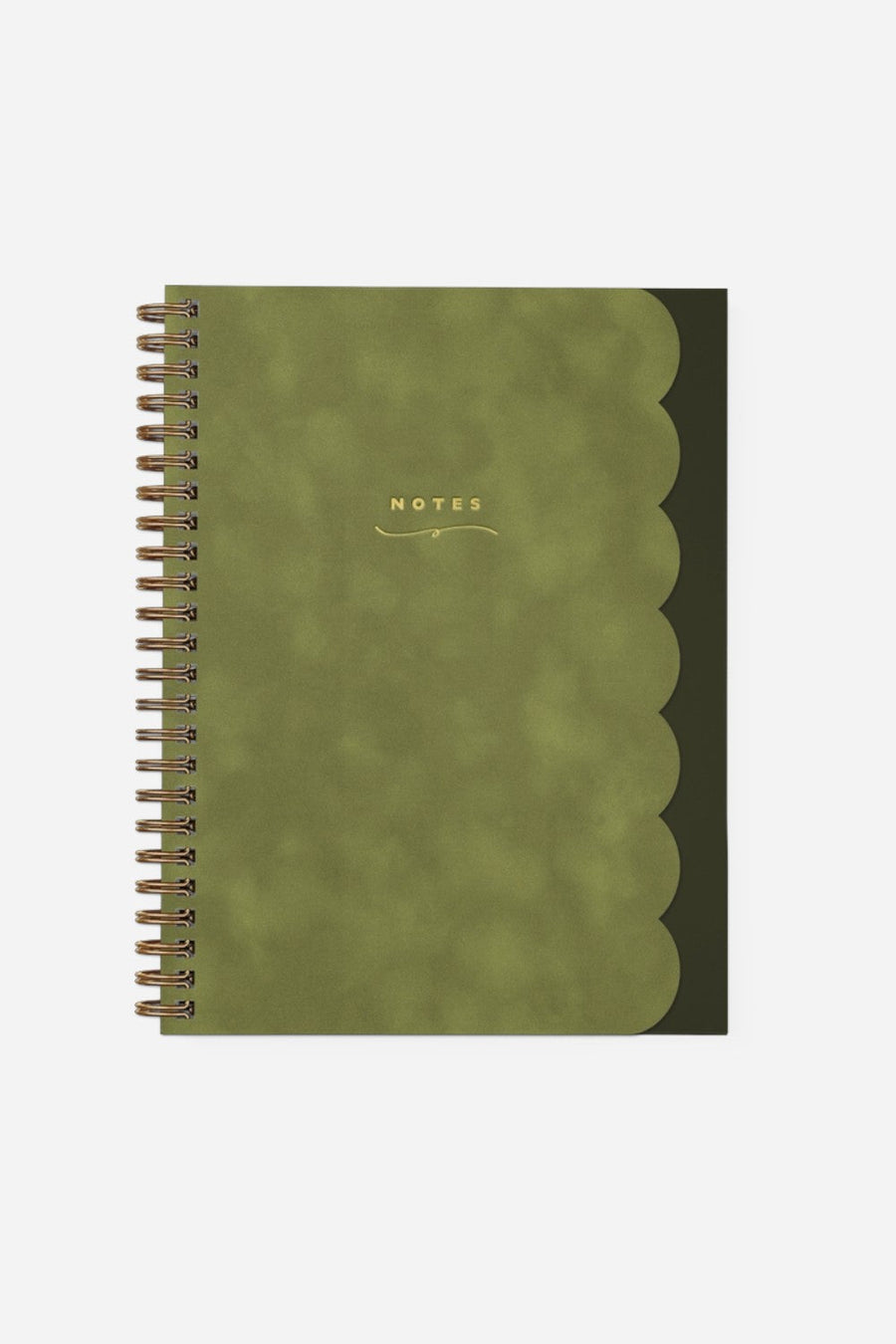 Smitten on Paper Scallop Notebook in Moss – front view