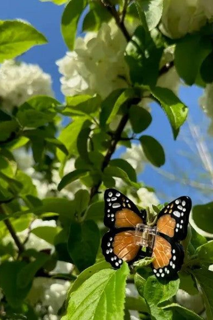 Solar Eclipse Hand-painted White Mini Monarch Claw Hair Clip – back view