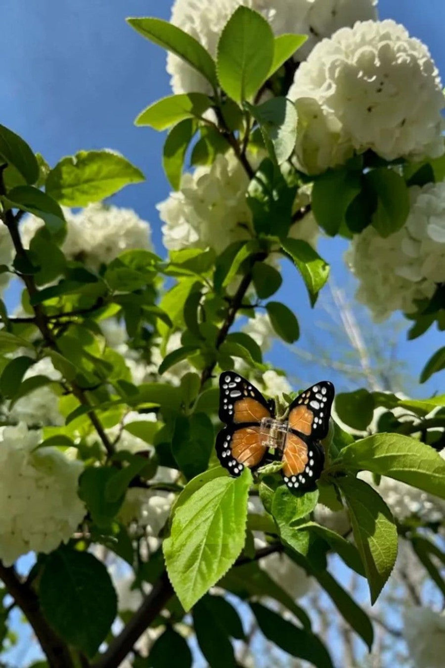 Solar Eclipse Mini Monarch Orange Butterfly Hair Clip – back view