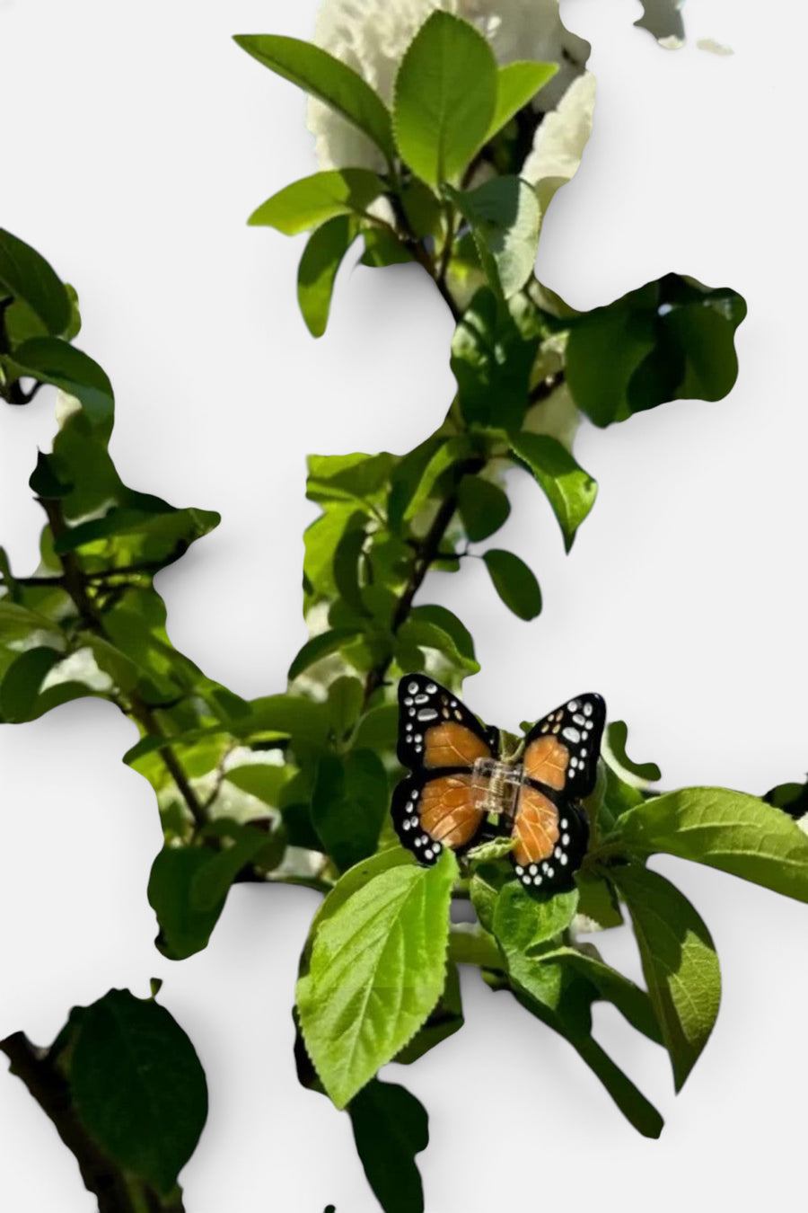 Solar Eclipse Mini Monarch Orange Butterfly Hair Clip – back view