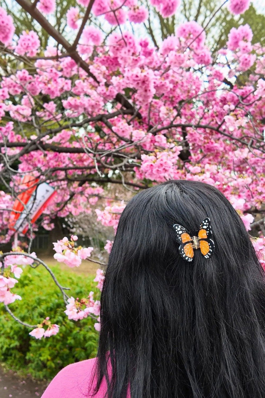 Solar Eclipse Mini Monarch Orange Butterfly Hair Clip – flat lay