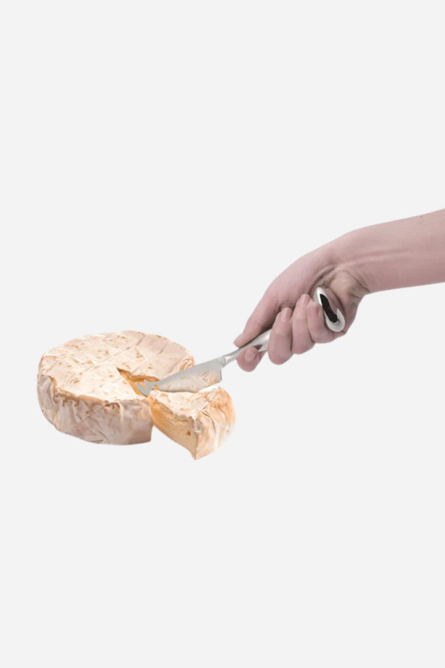 Stainless Steel Standing Cheese Knife – back view