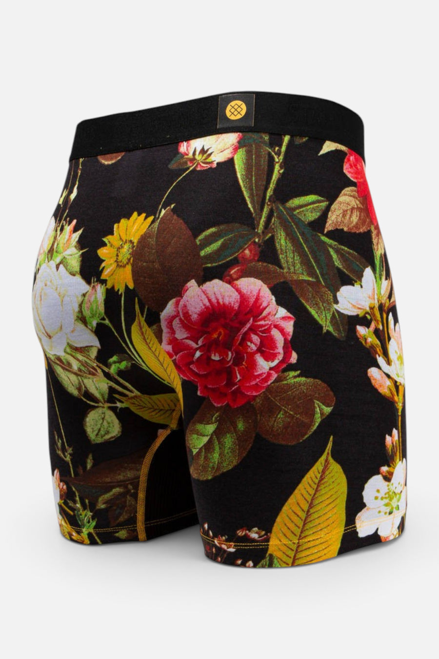 Stance Azahar Boxer Briefs in Black – back view